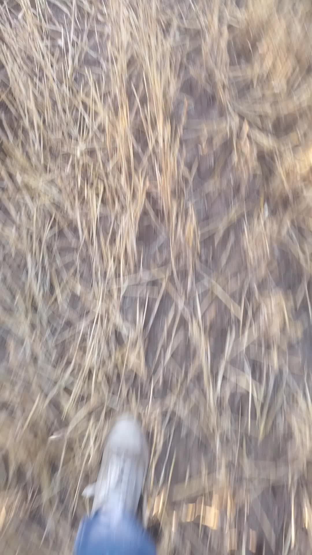 @Т 150