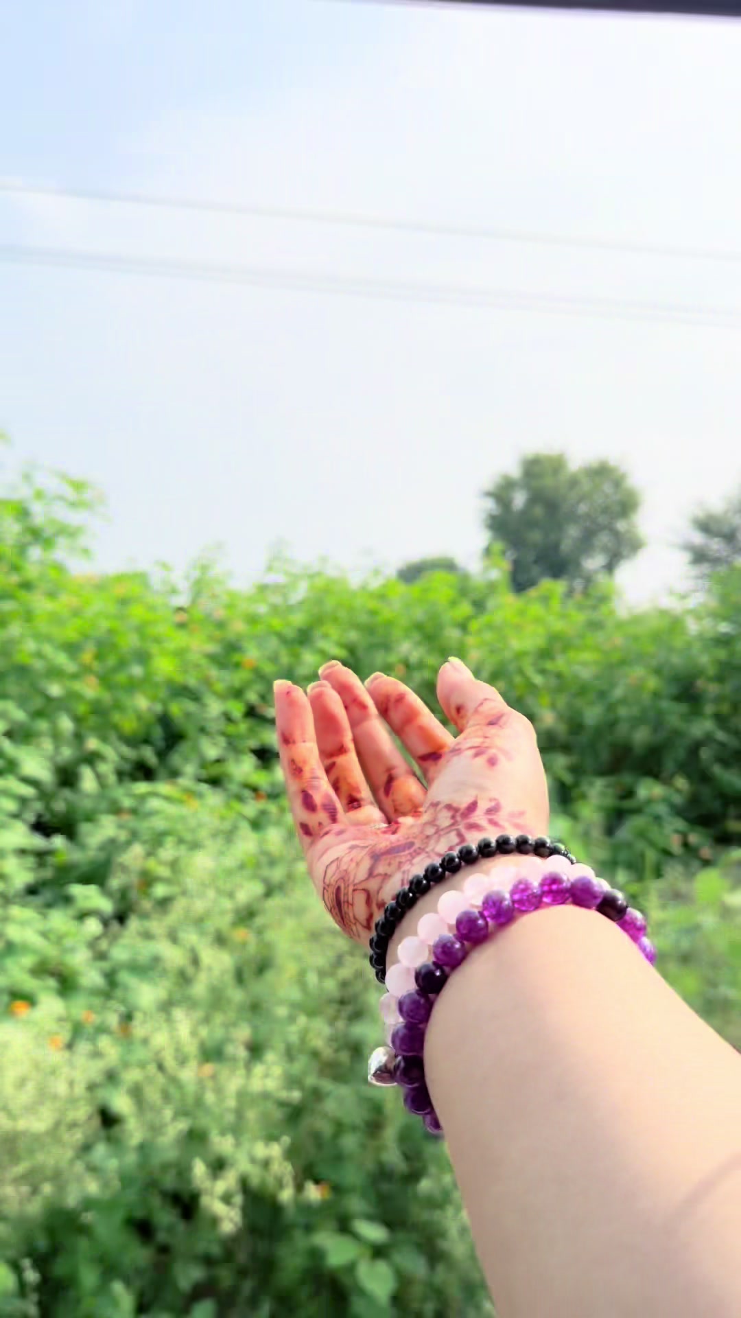 @Assia Mehndi