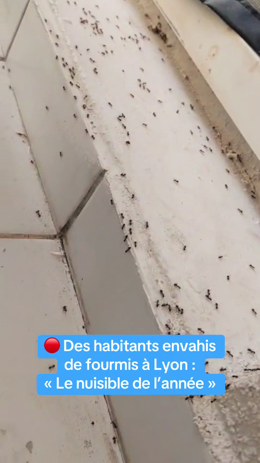 @actu Lyon