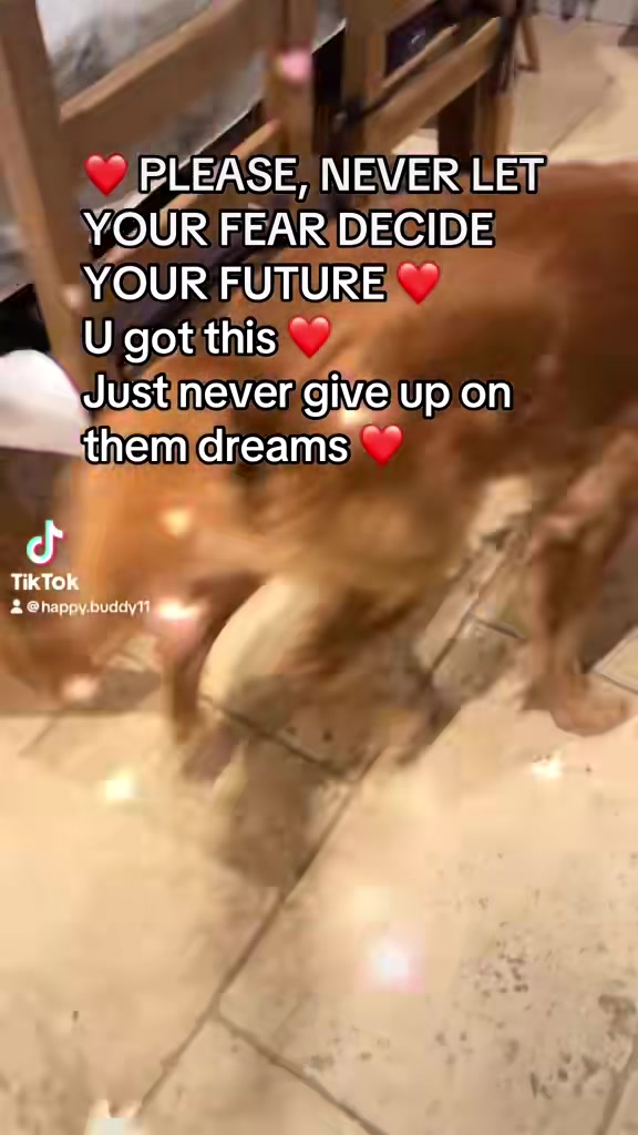 @Happy buddy