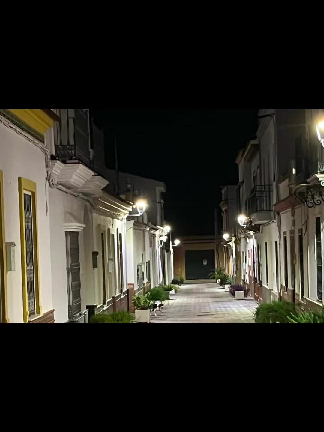 @José Llorente