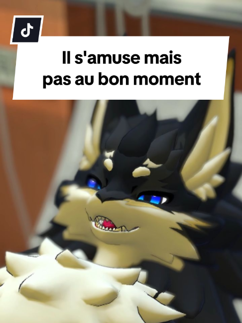@Seaiter