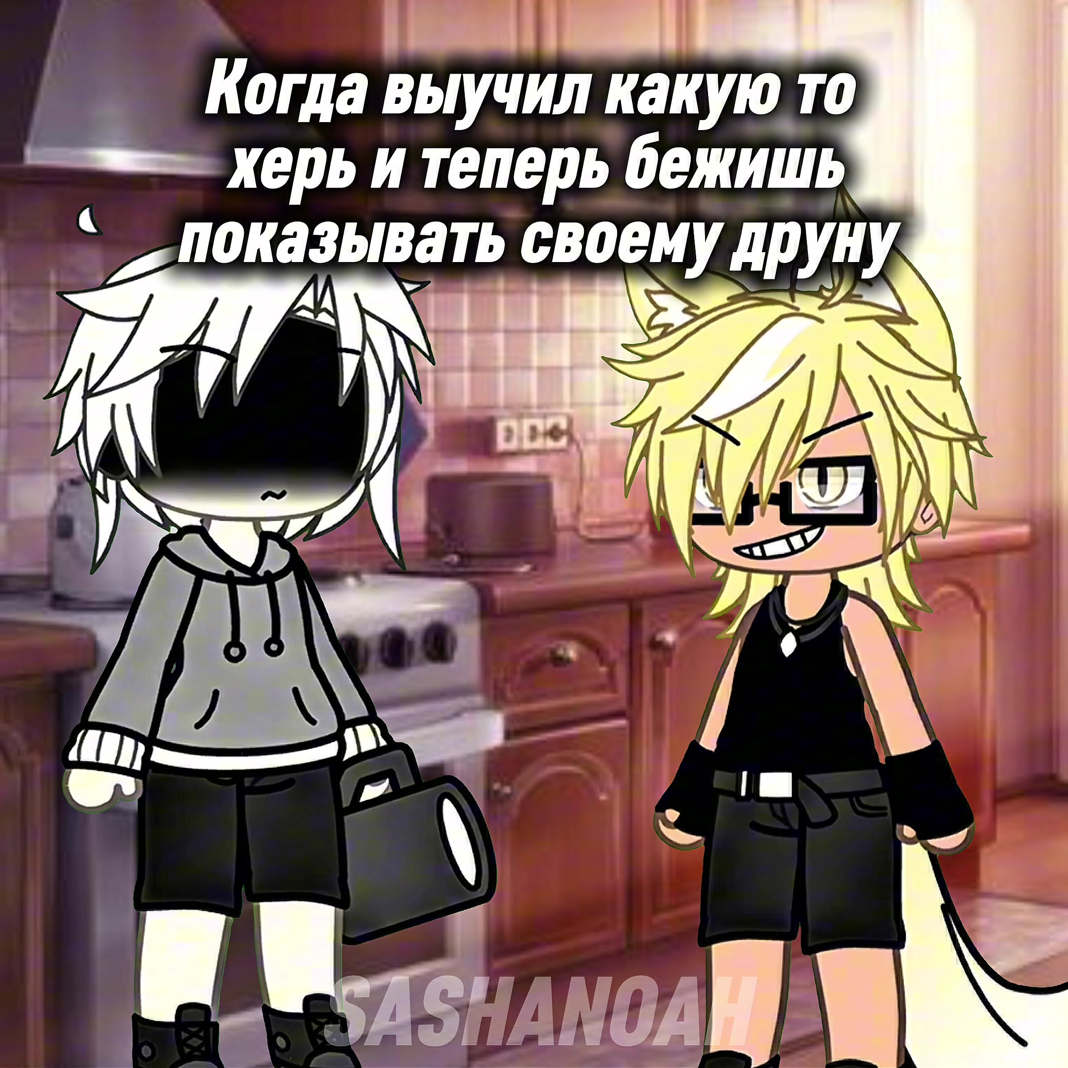 @Sasha Noah