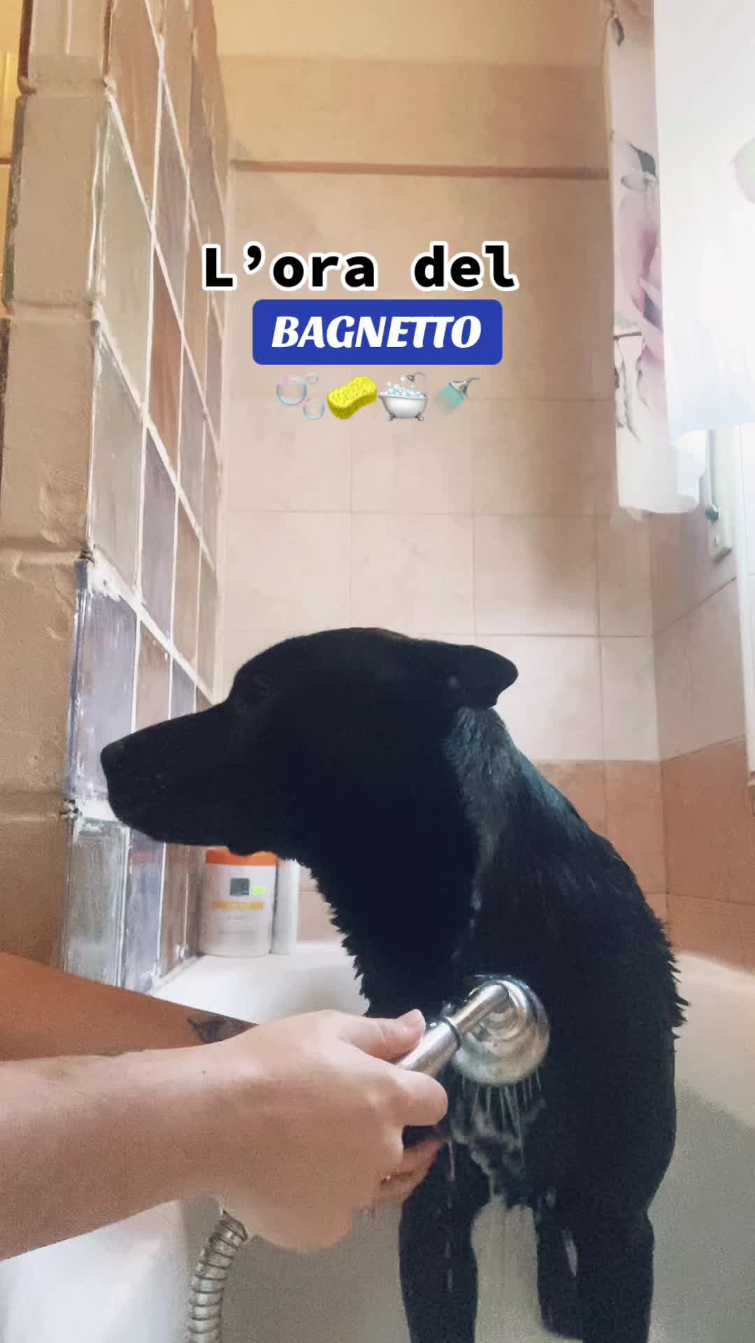 @Giorgia📚❤️&zwj;🔥