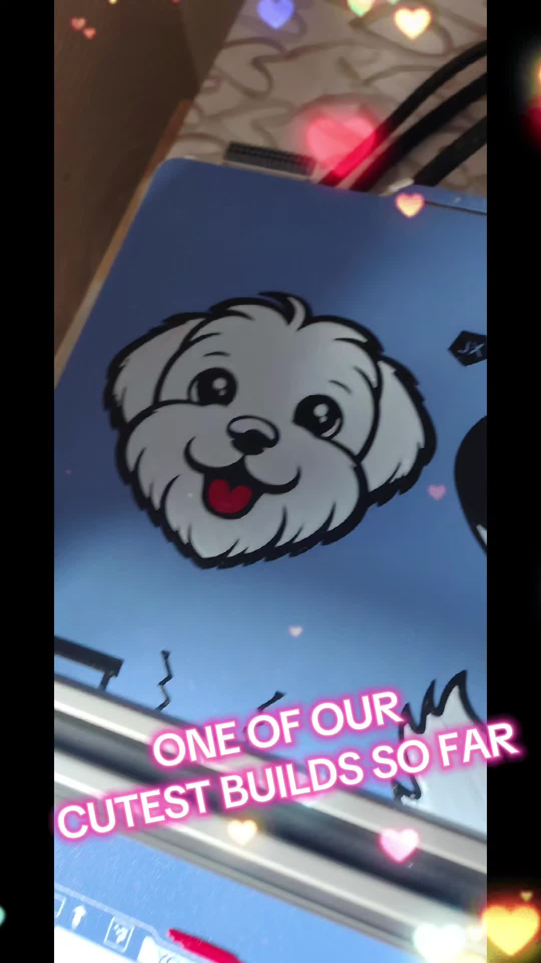 @SALS3D