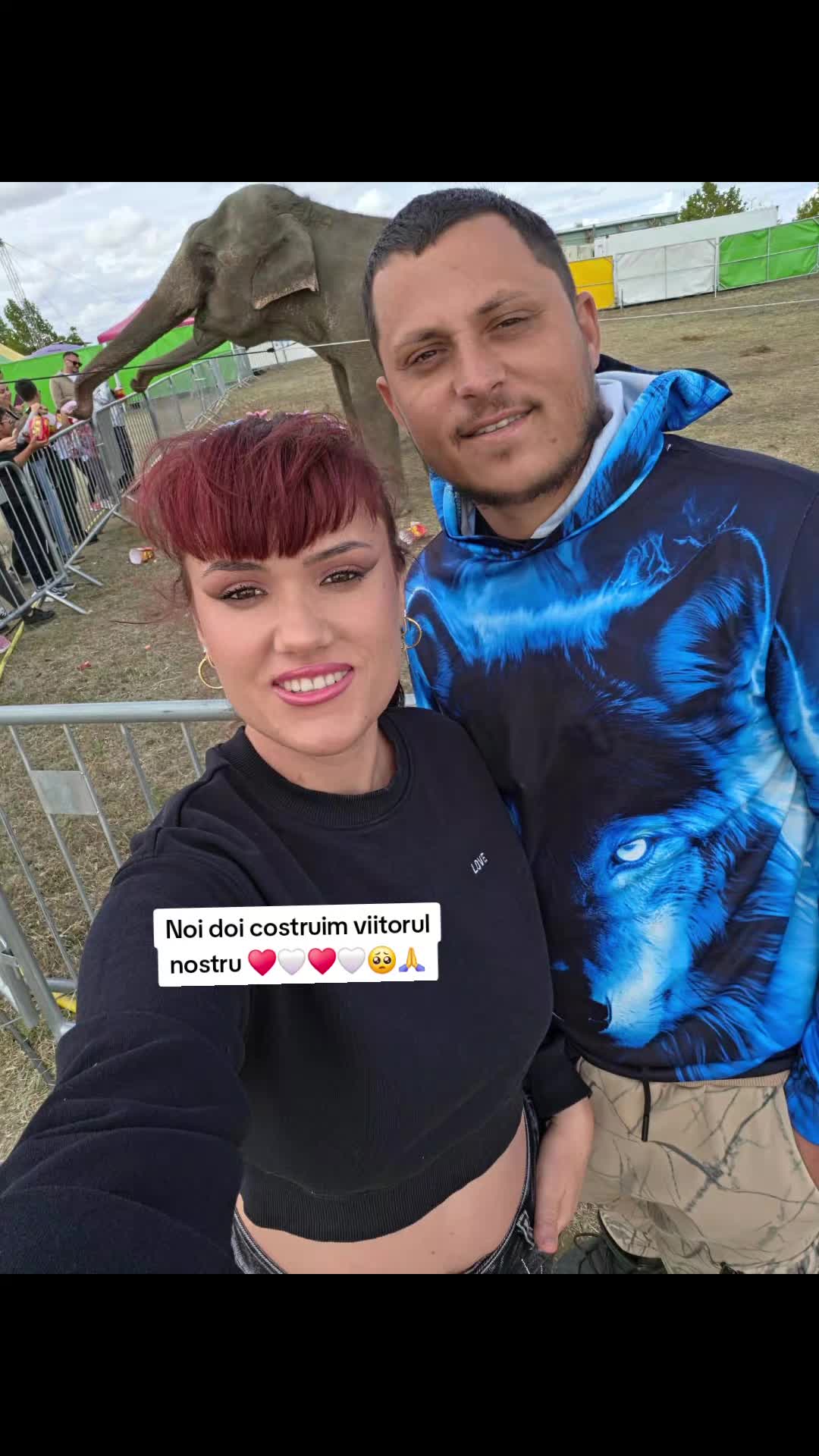 @danielaloveionut15