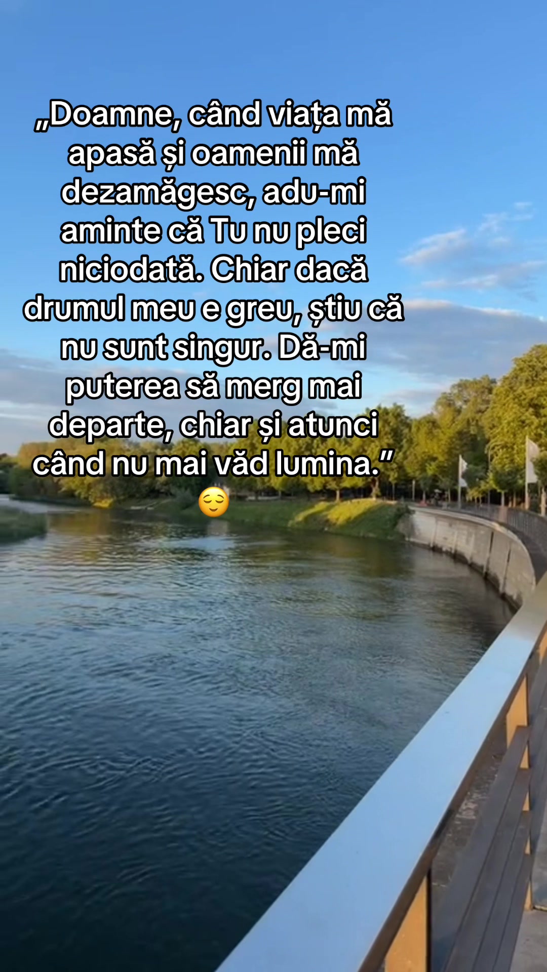 @Lidia Dobre