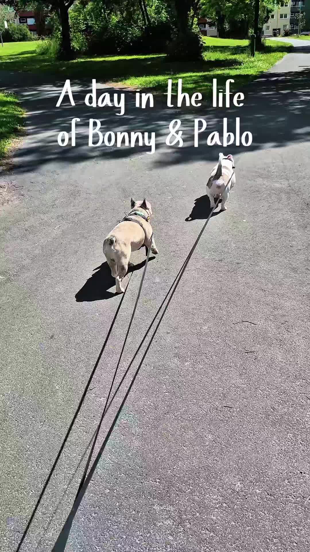 @🦄⃤𝓟𝓲𝓯𝓯 𝓪𝓷𝓭 𝓹𝓾𝓹𝓼