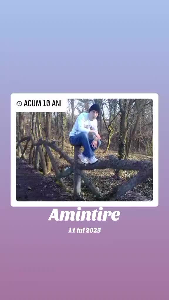 @Aurelian Iacob