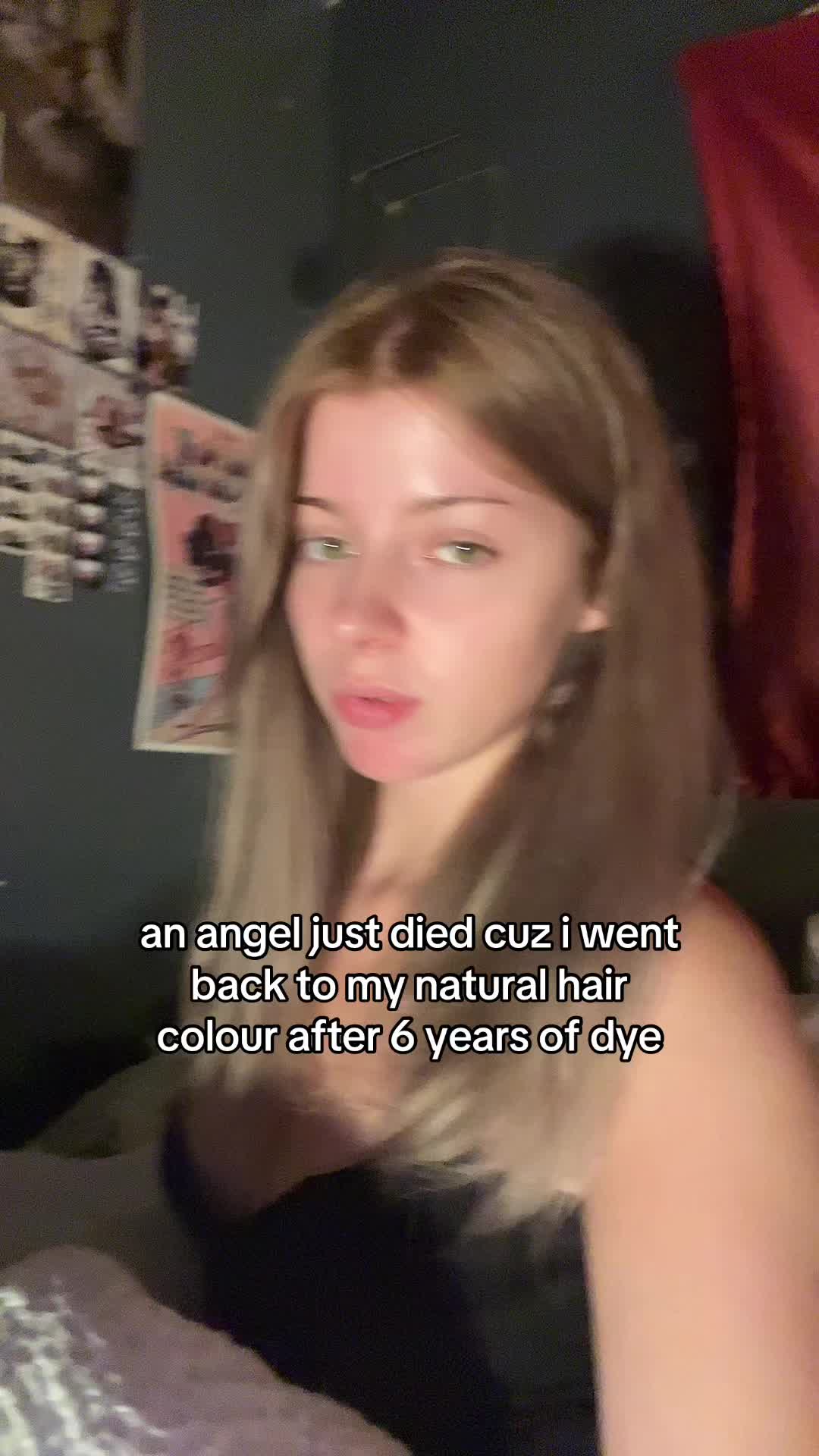 @wisteriawisp13