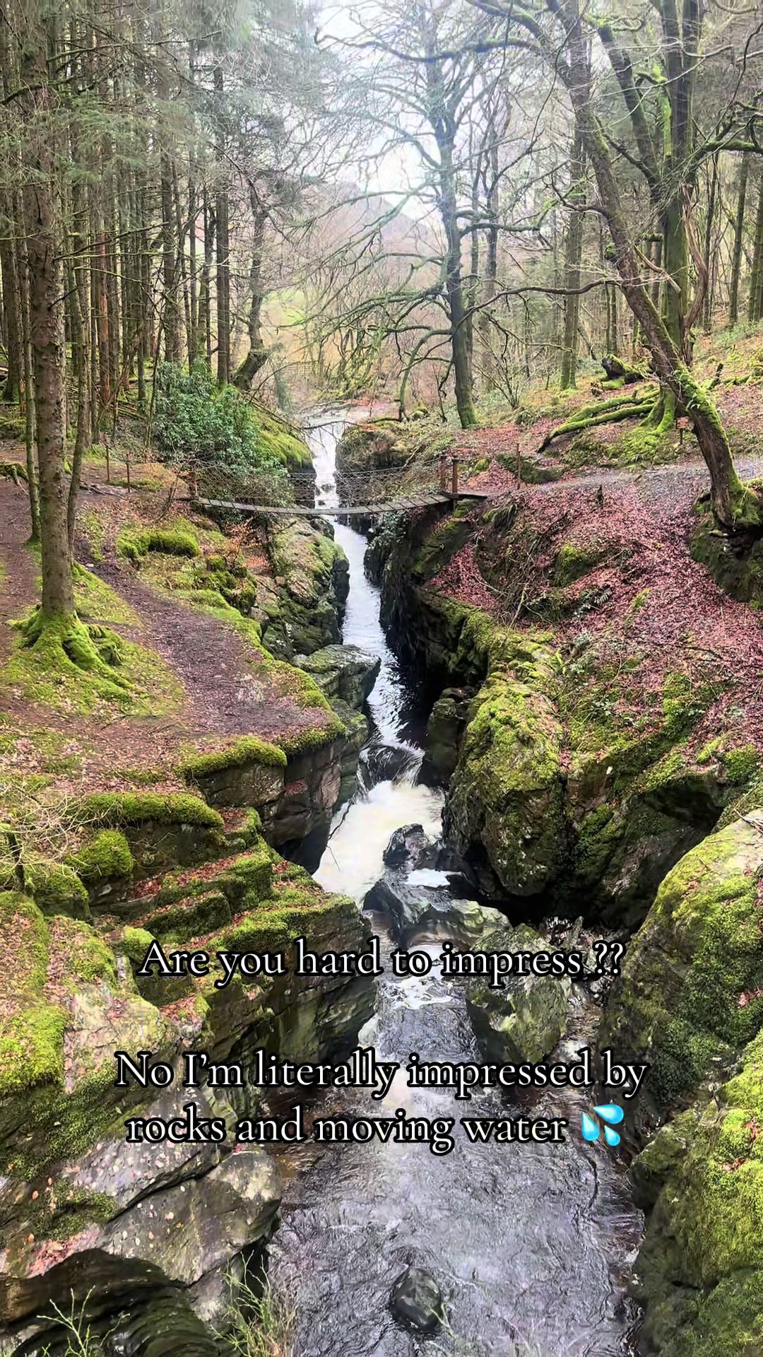 @Wanderess 🏴💜⛰🥾