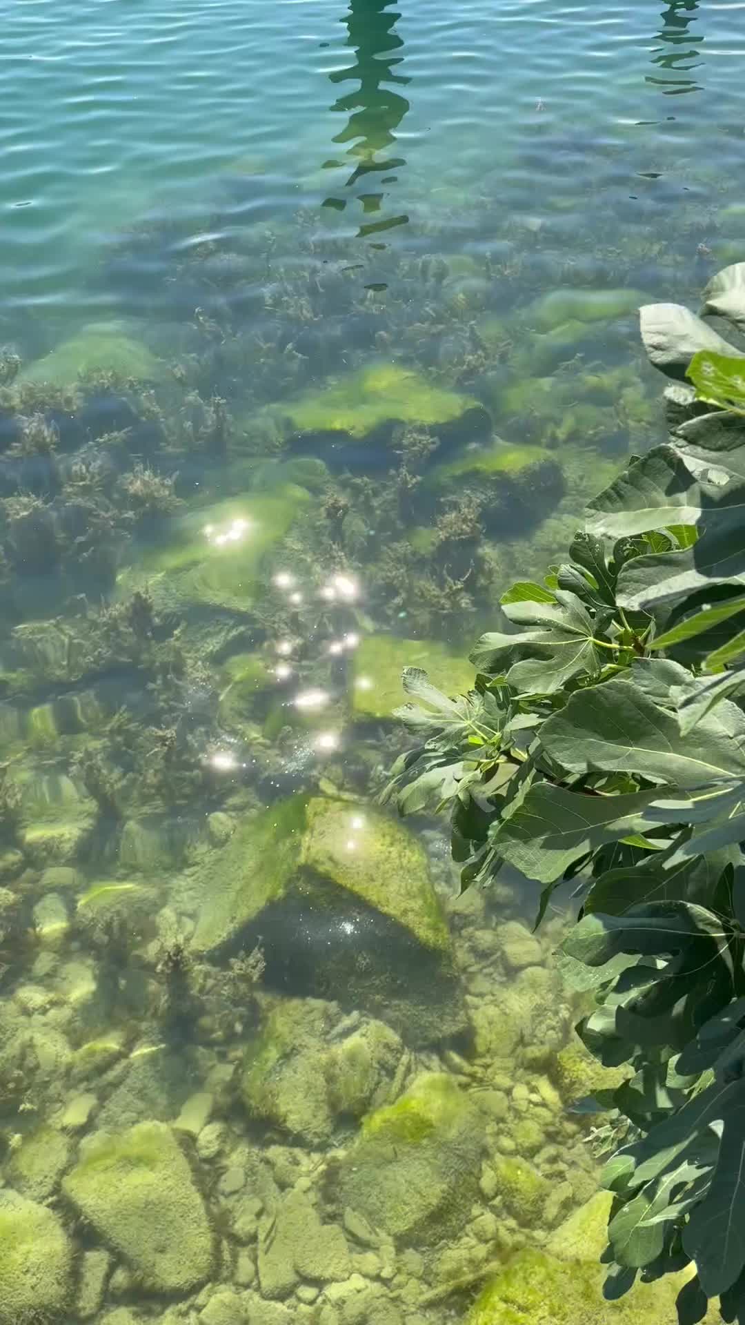 @🔥 mendoza 🔥