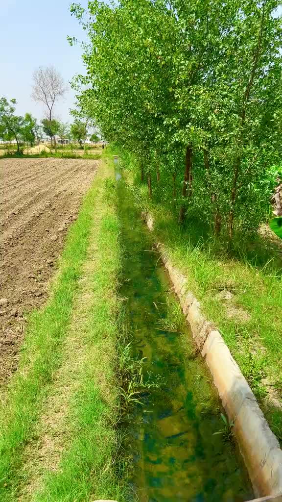 @🥷Malik Usman Khokhar 🥷🦅🦅