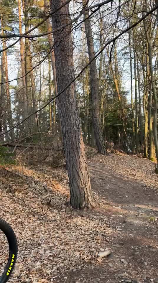 @daniel.trcalek