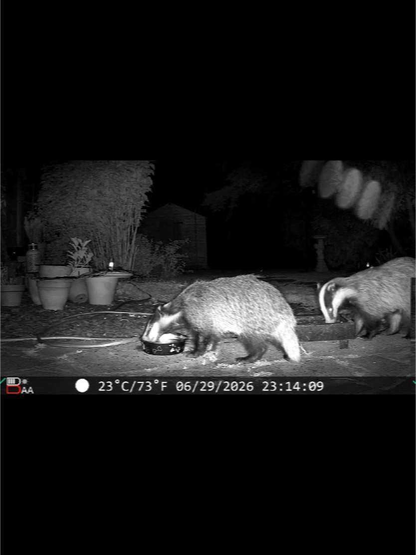 @Kent Garden Wildlife UK