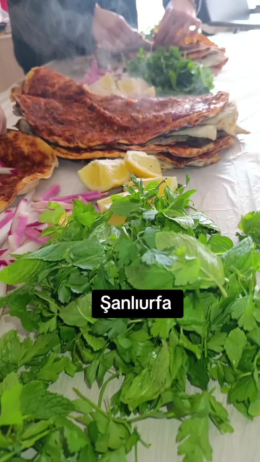 @Emine_sultan_63