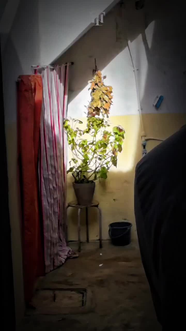 @𝐓𝐎𝐗𝐈𝐂 𝐓𝐍