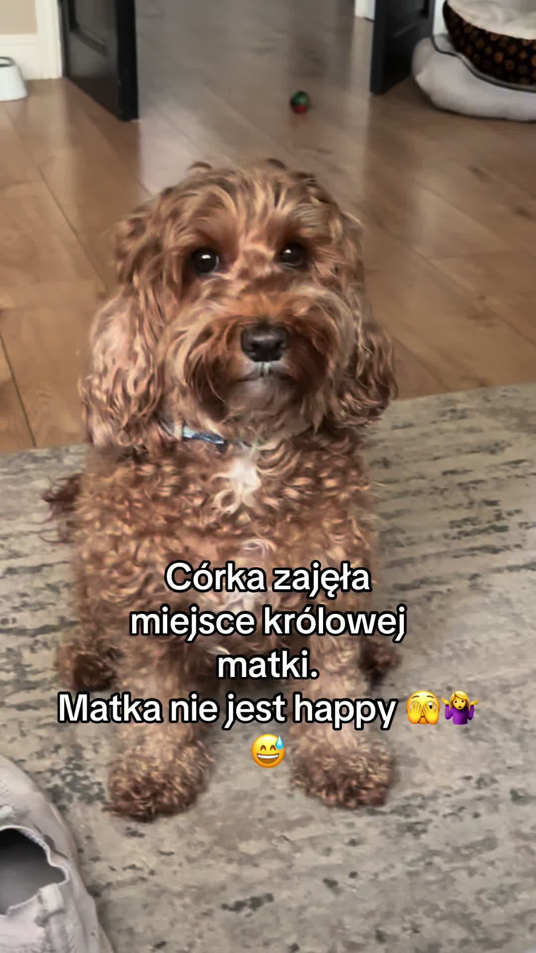 @Sisi