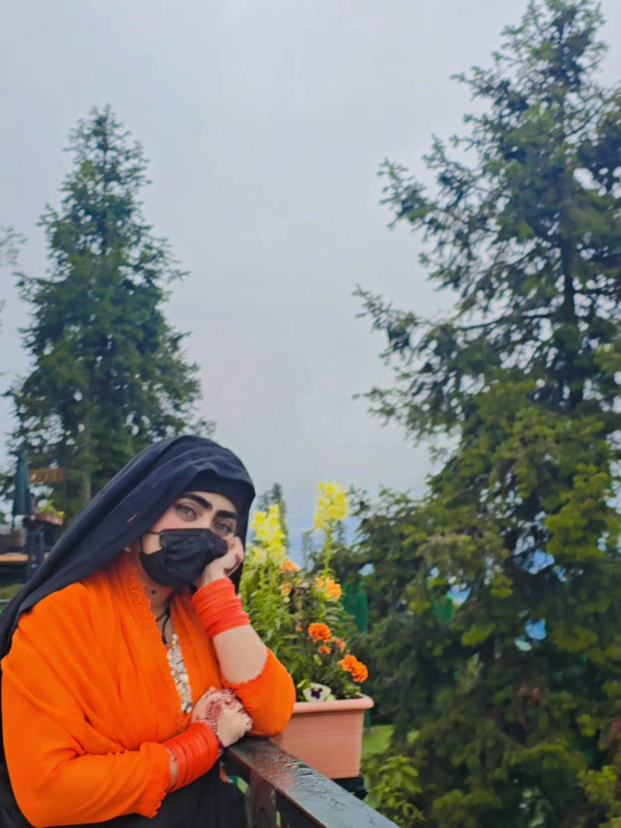 @𝙆𝙊𝙆𝙊 𝟖𝟎𝟒𝙥𝙩𝙞 𝙖𝙧𝙢𝙮