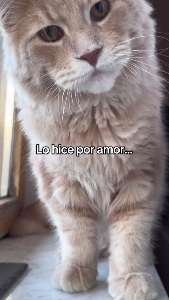 @moodlumin