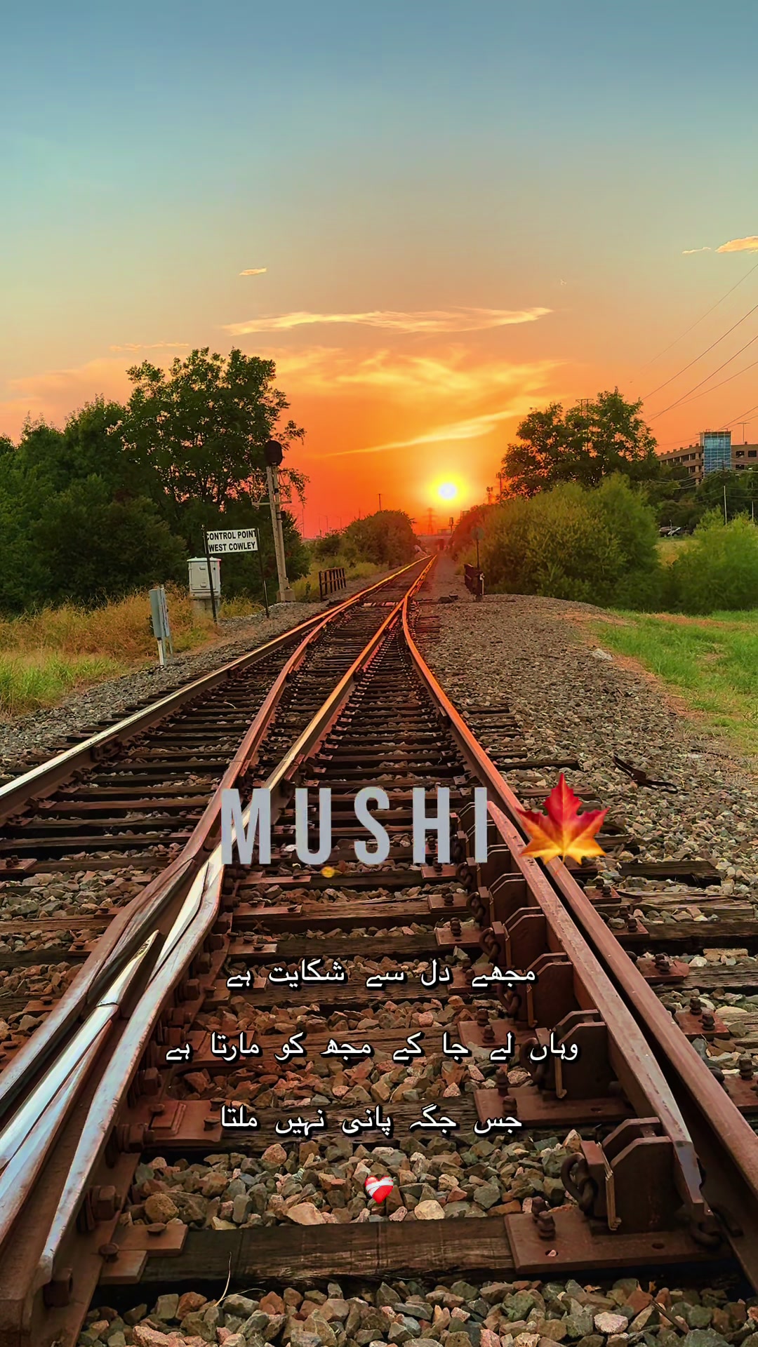 @Ayzal🍁Mushi