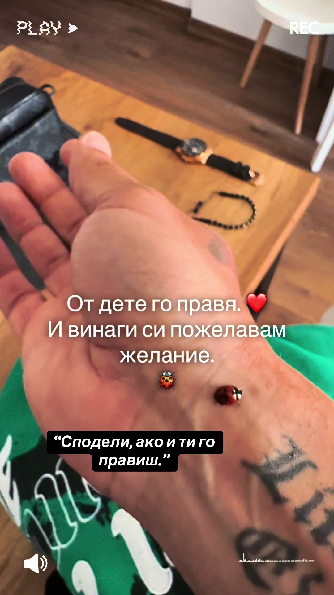 @Stoqn Dudov SD Body Fit 🩷