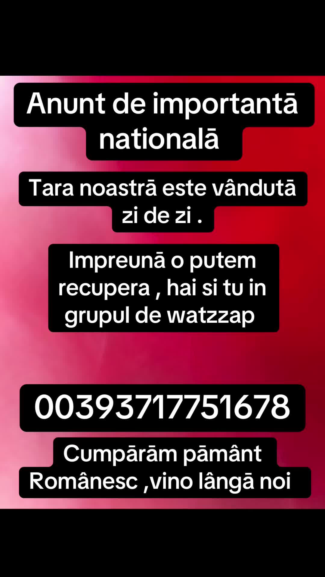 @Mos Craciun
