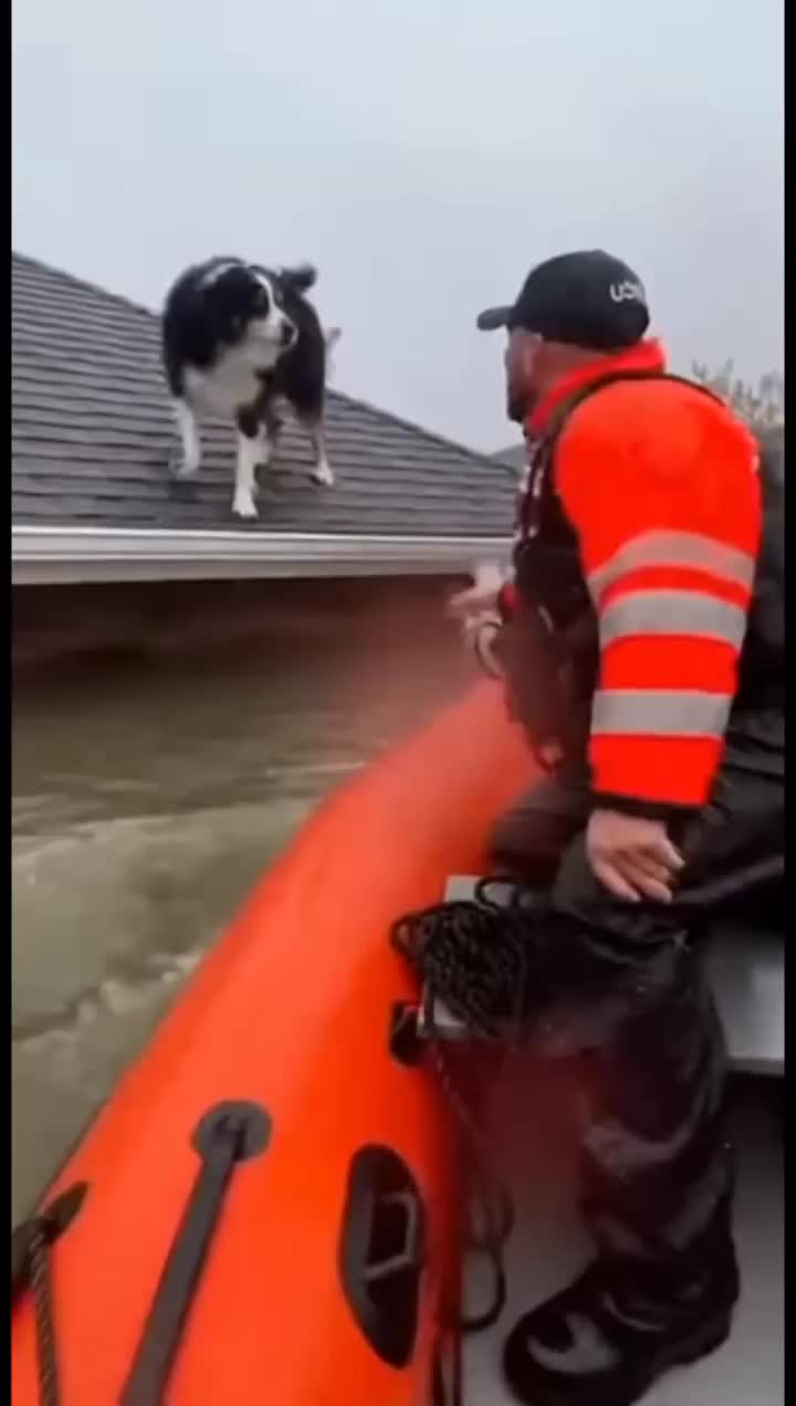 @animalslife2026