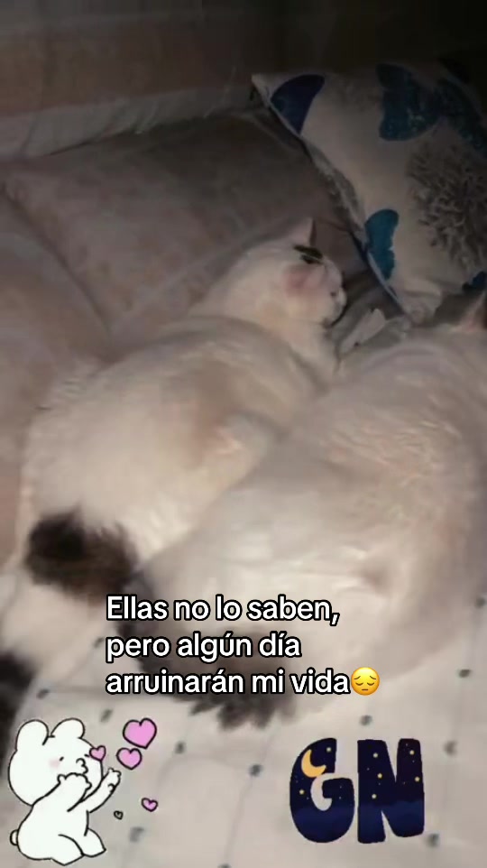 @morci_ypunto