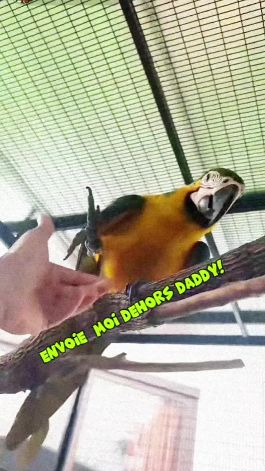 @🐒 HappyBabyMonkey 🐒
