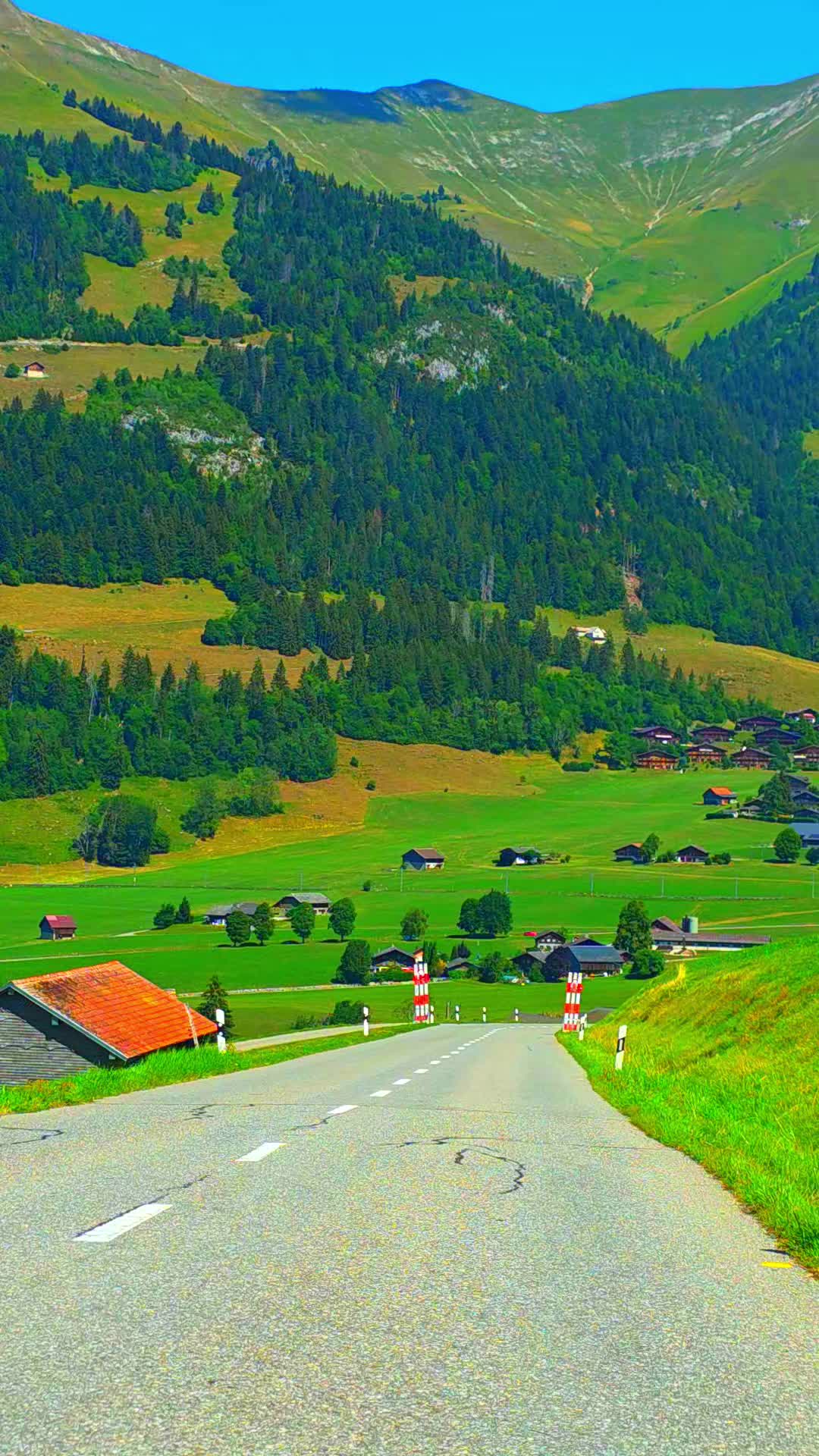 @🇨🇭flores Sérgio 🇵🇹