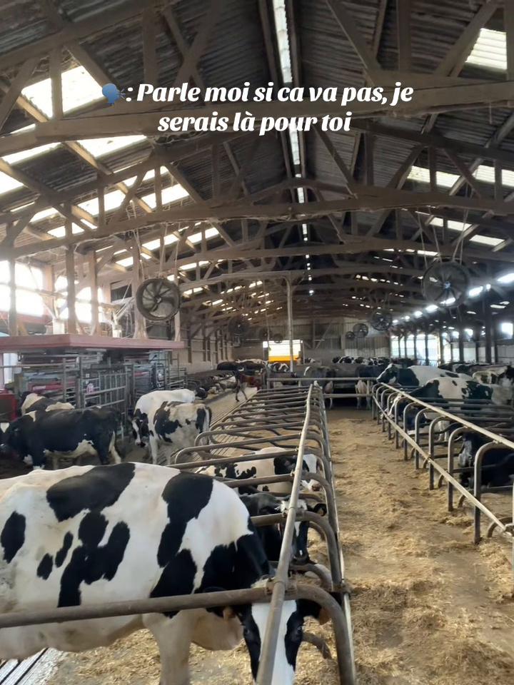 @nadiya🐮
