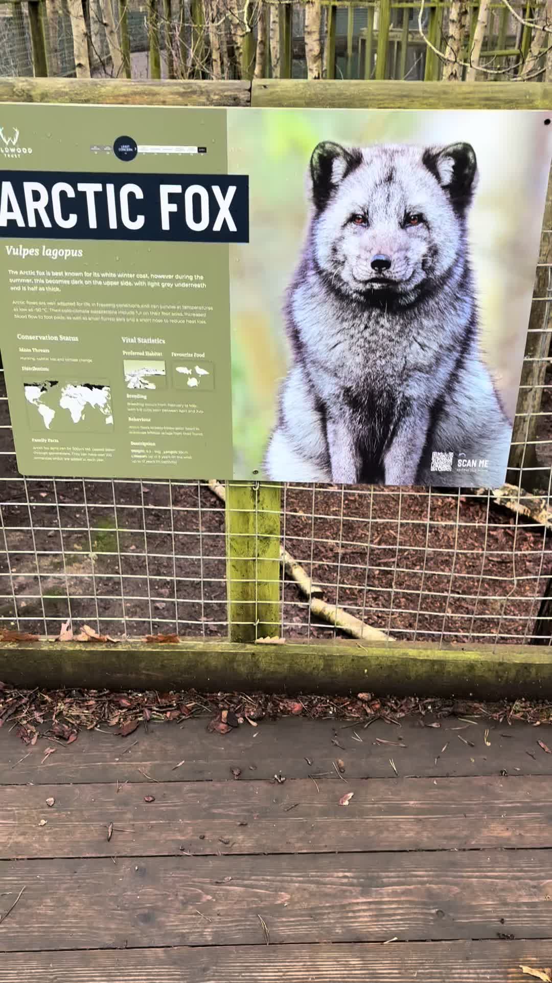 @Kanga Queen
