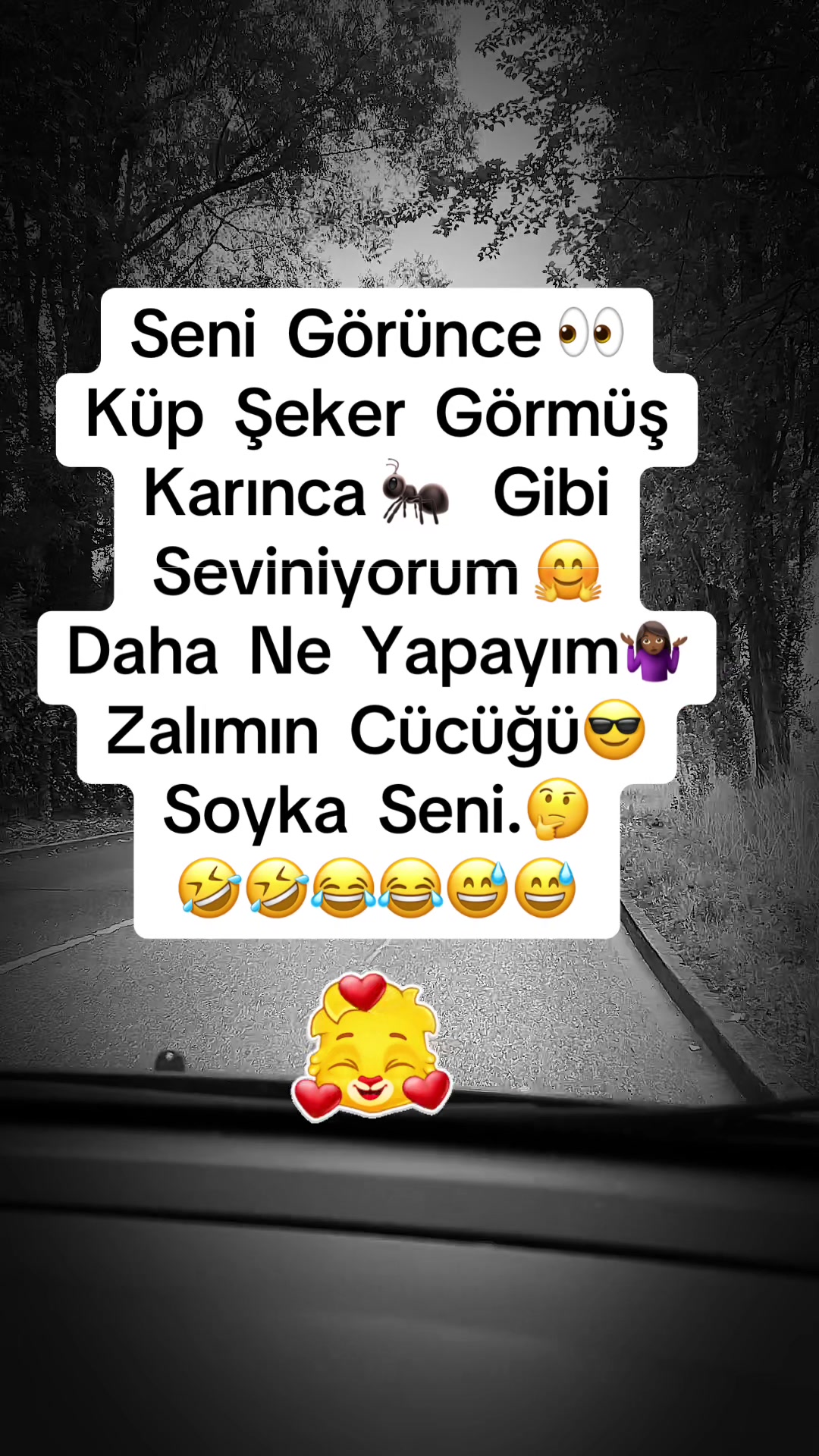 @✨🤍Ayliz_S🤍✨