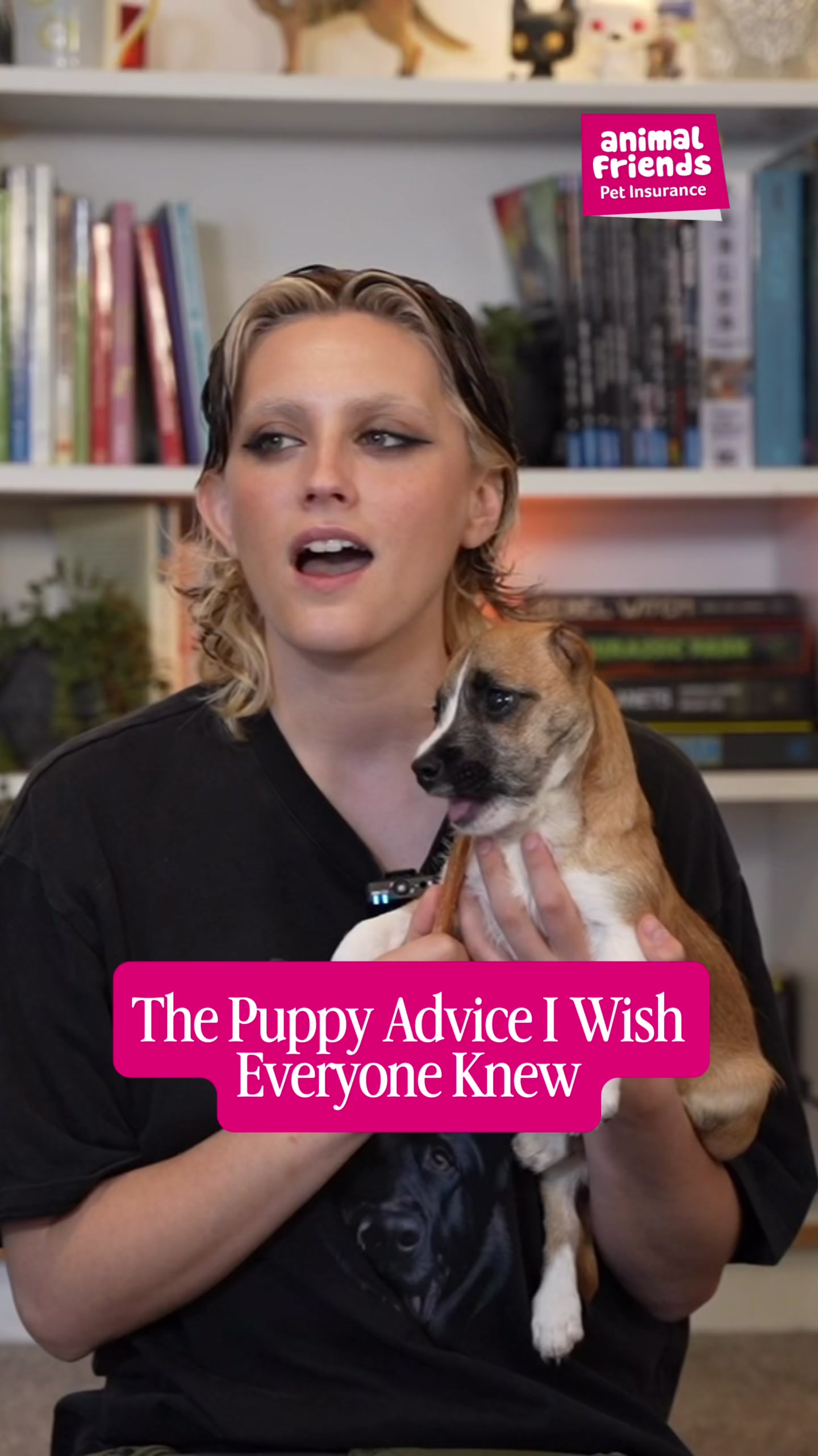 @Amelia the Dog Trainer