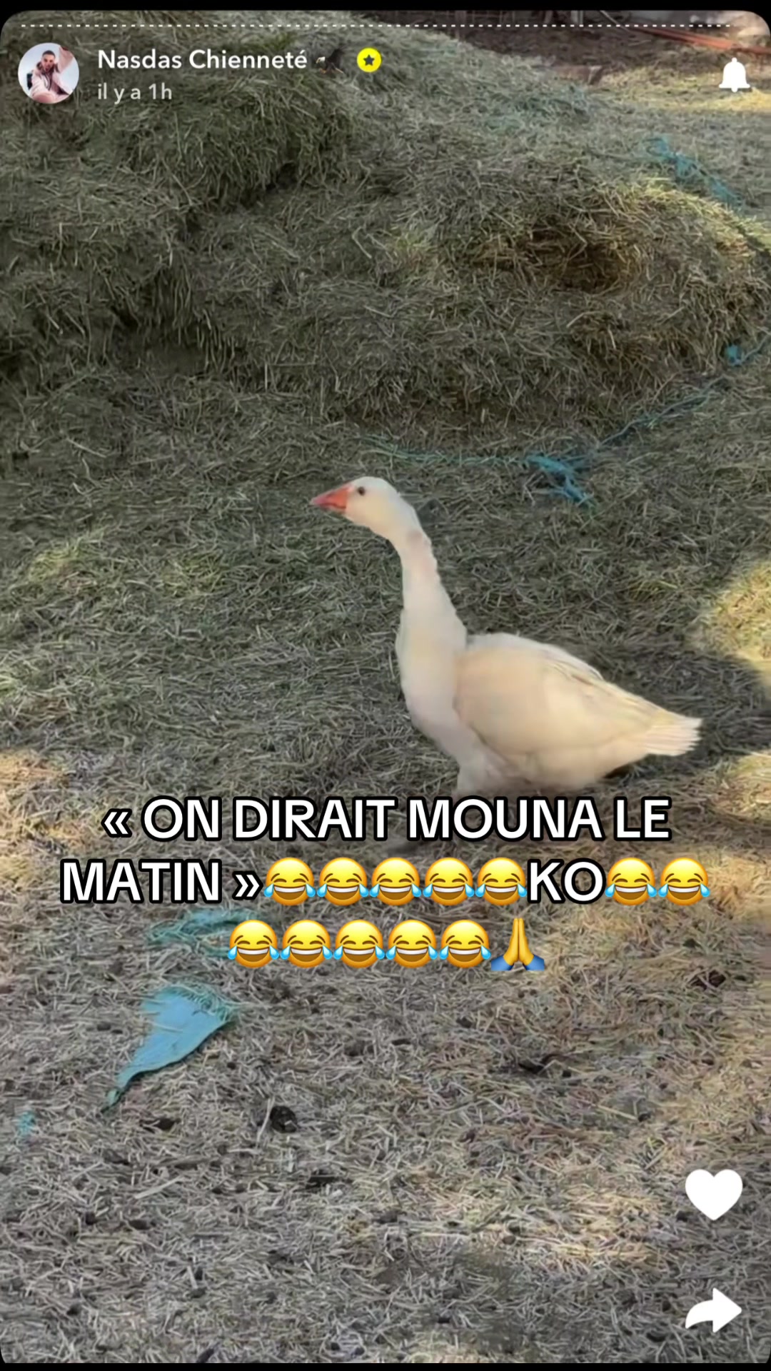 @mdh