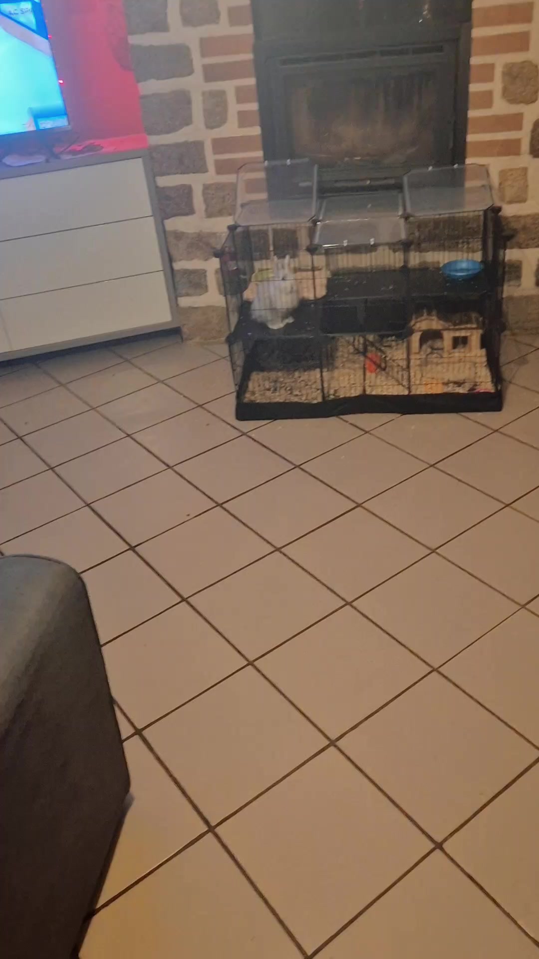 @fujitif13