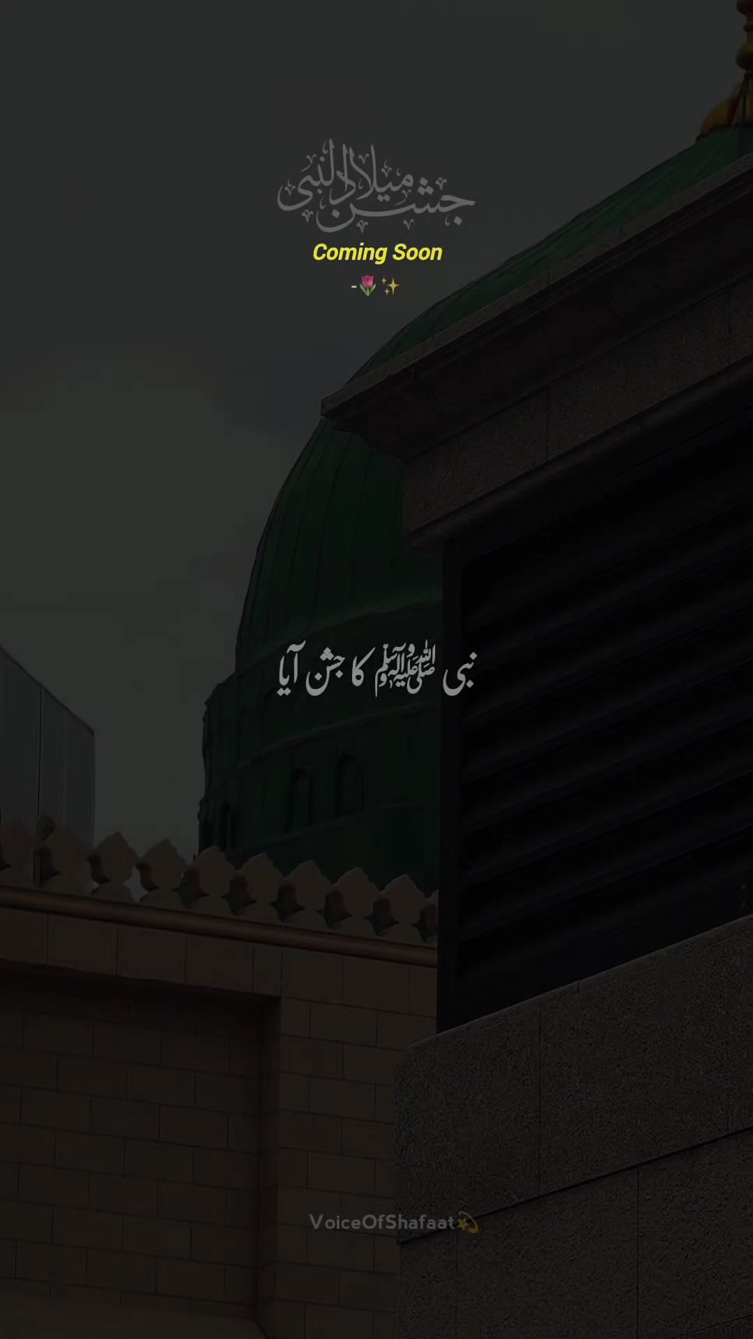 @VoiceOfShafaat💫