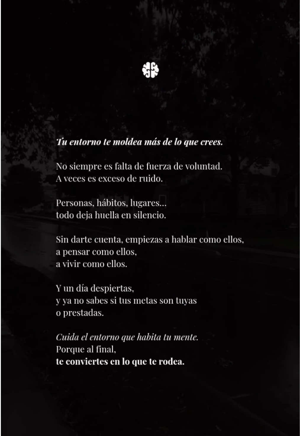 @Mente Selecta