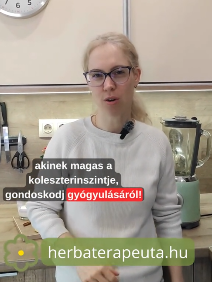 @fitoadri