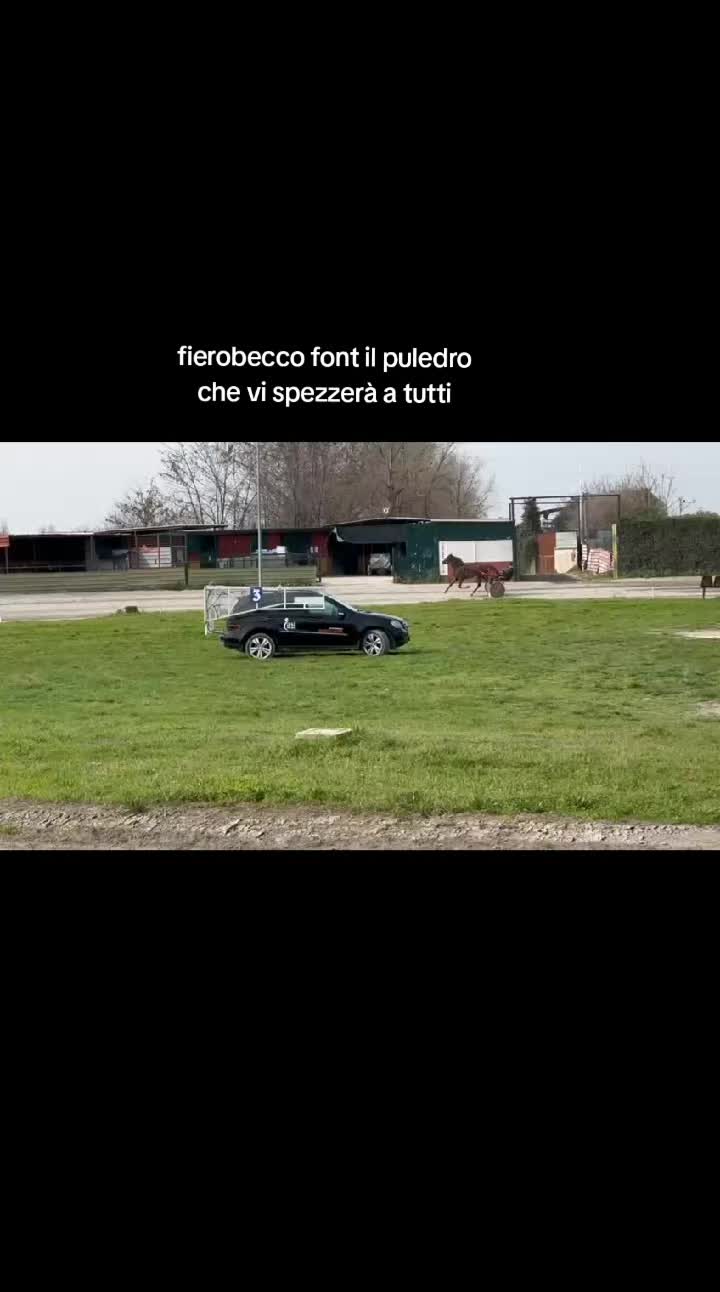 @Vincenzo Veneroso796