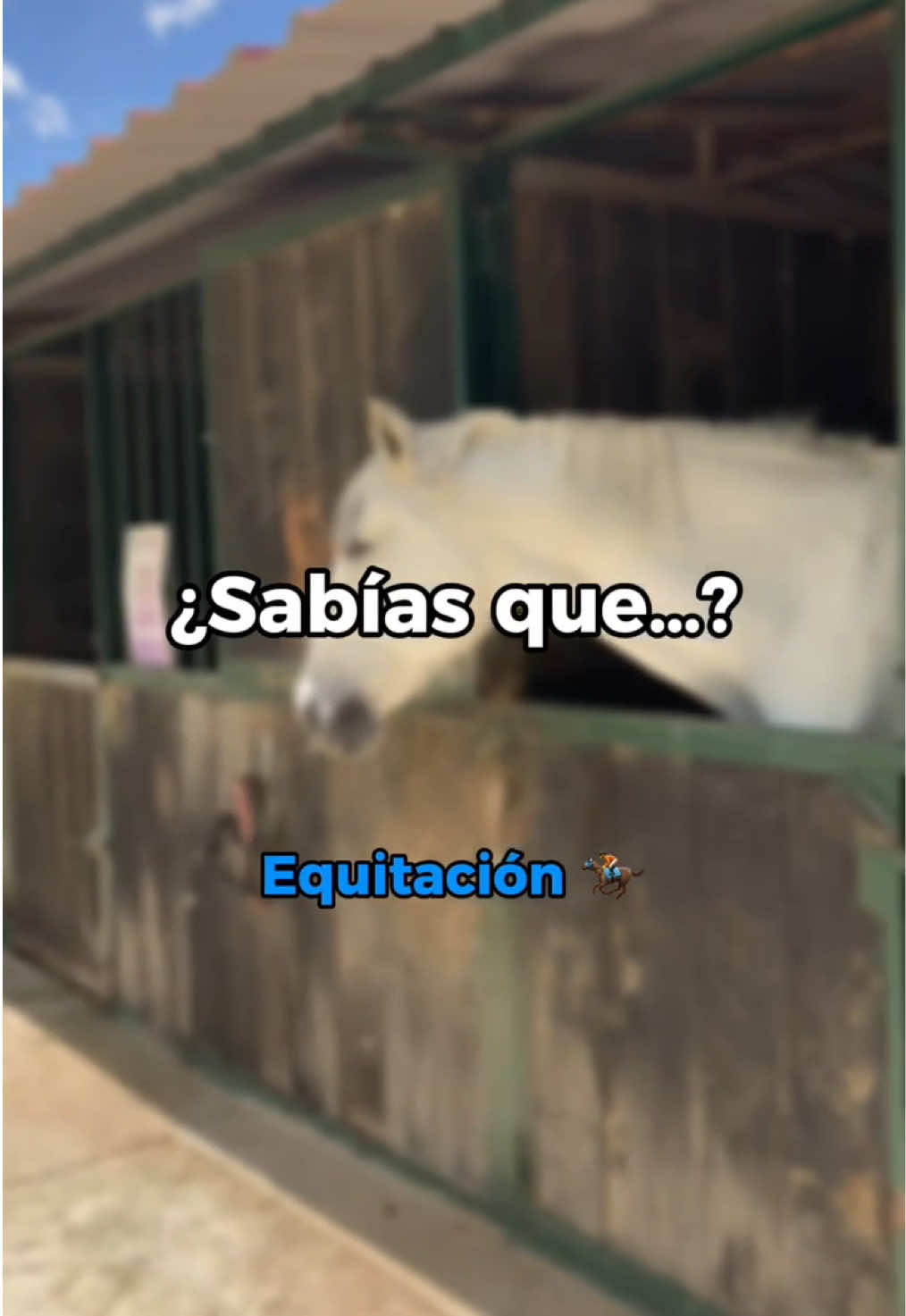 @emualicante_