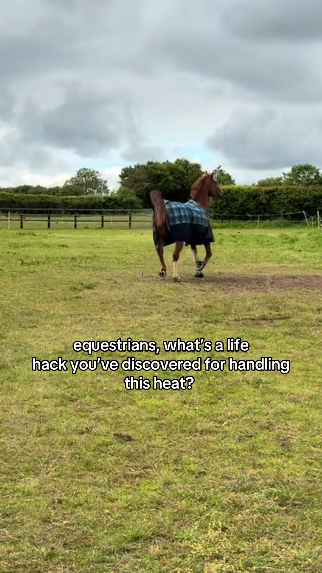 @Lilly & Bruno 🐴