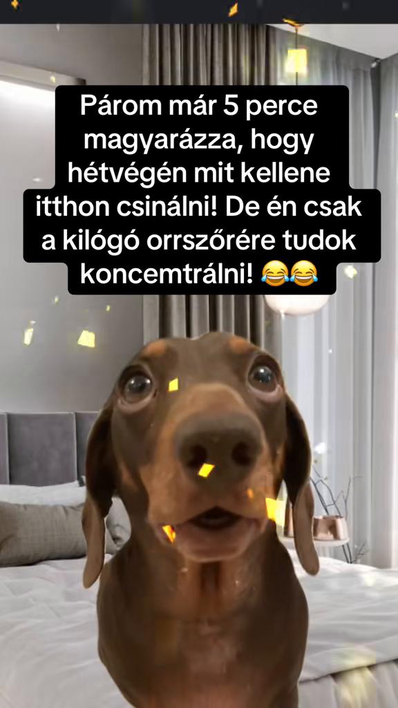 @Nikoletta Németh