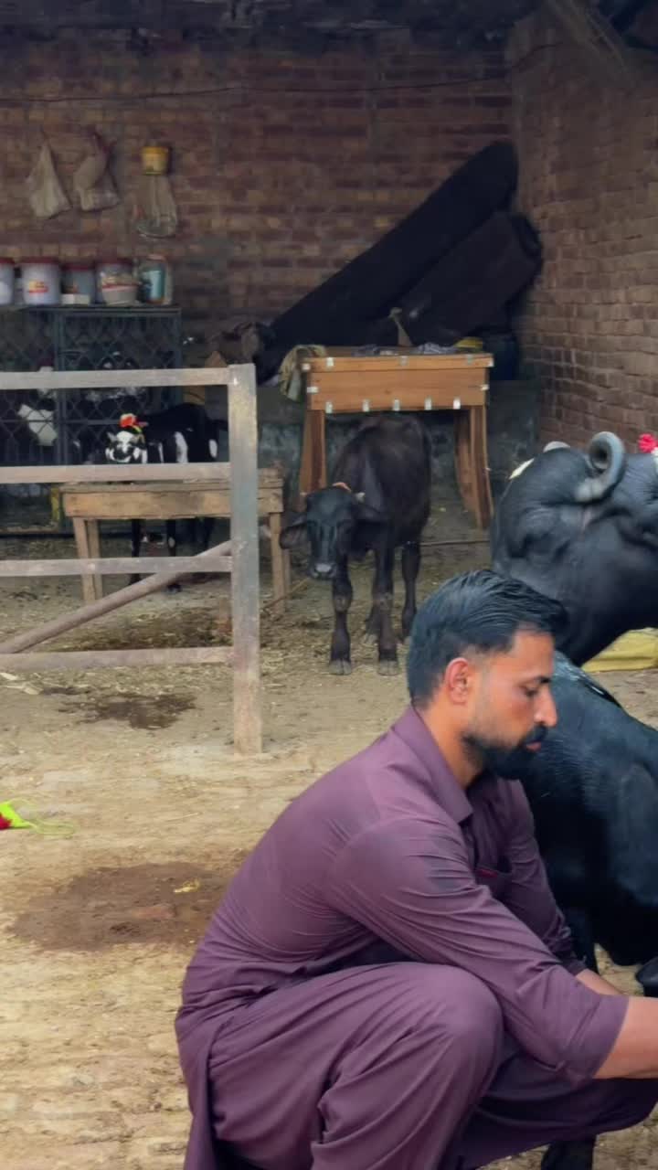 @waqarbhinder852