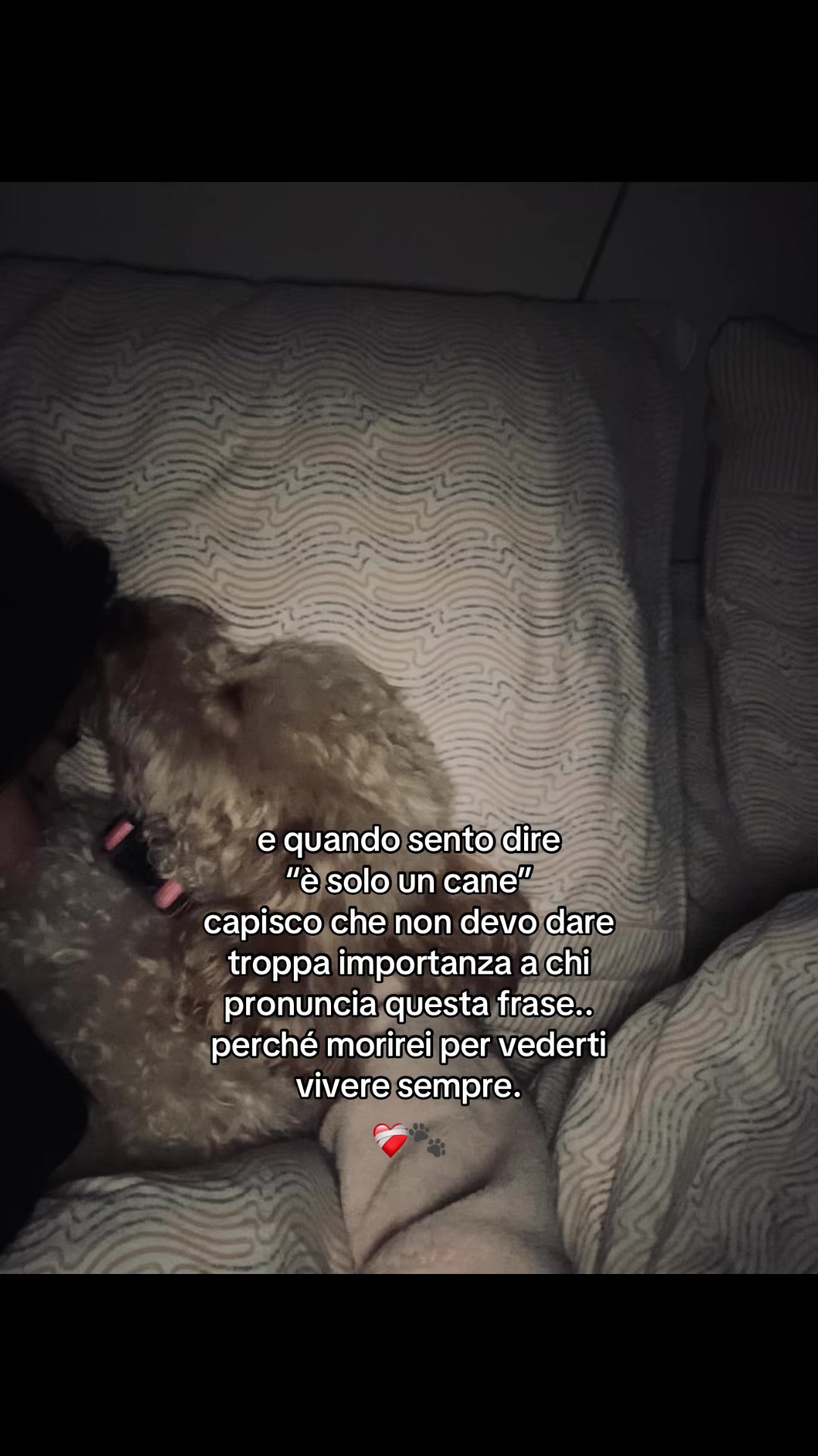 @serix_spamm