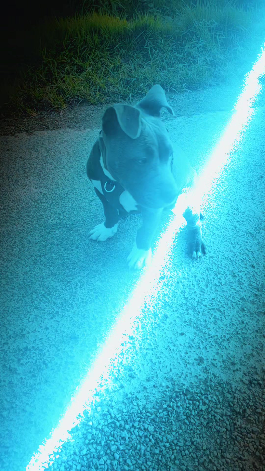 @Asko amstaff