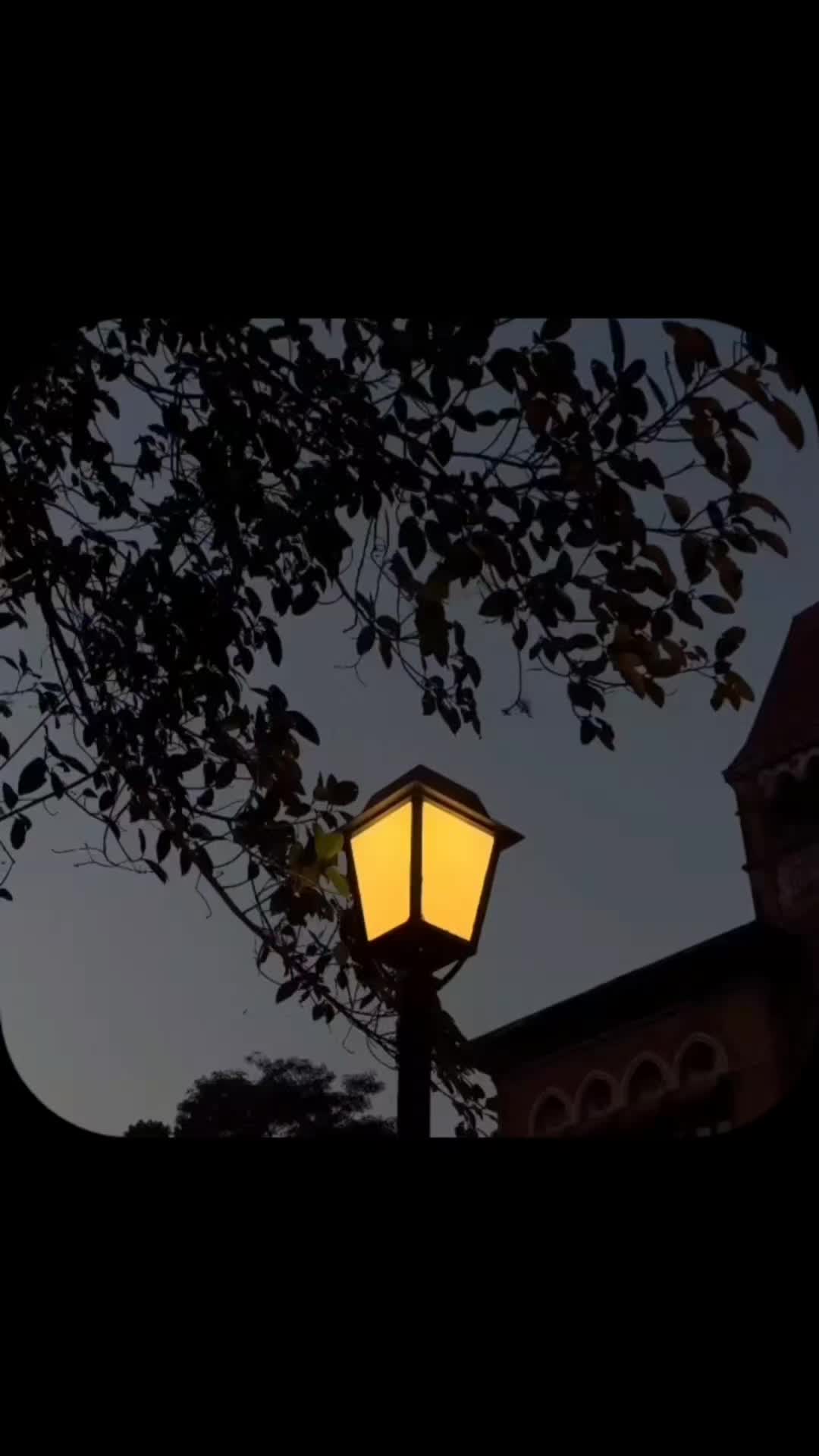 @𝙔𝙪𝙨𝙧𝙖 𝙀𝙙𝙞𝙩𝙨
