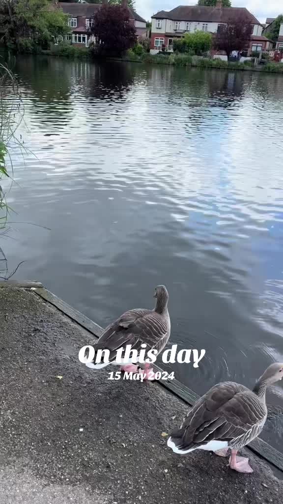@Dilani 🇬🇧