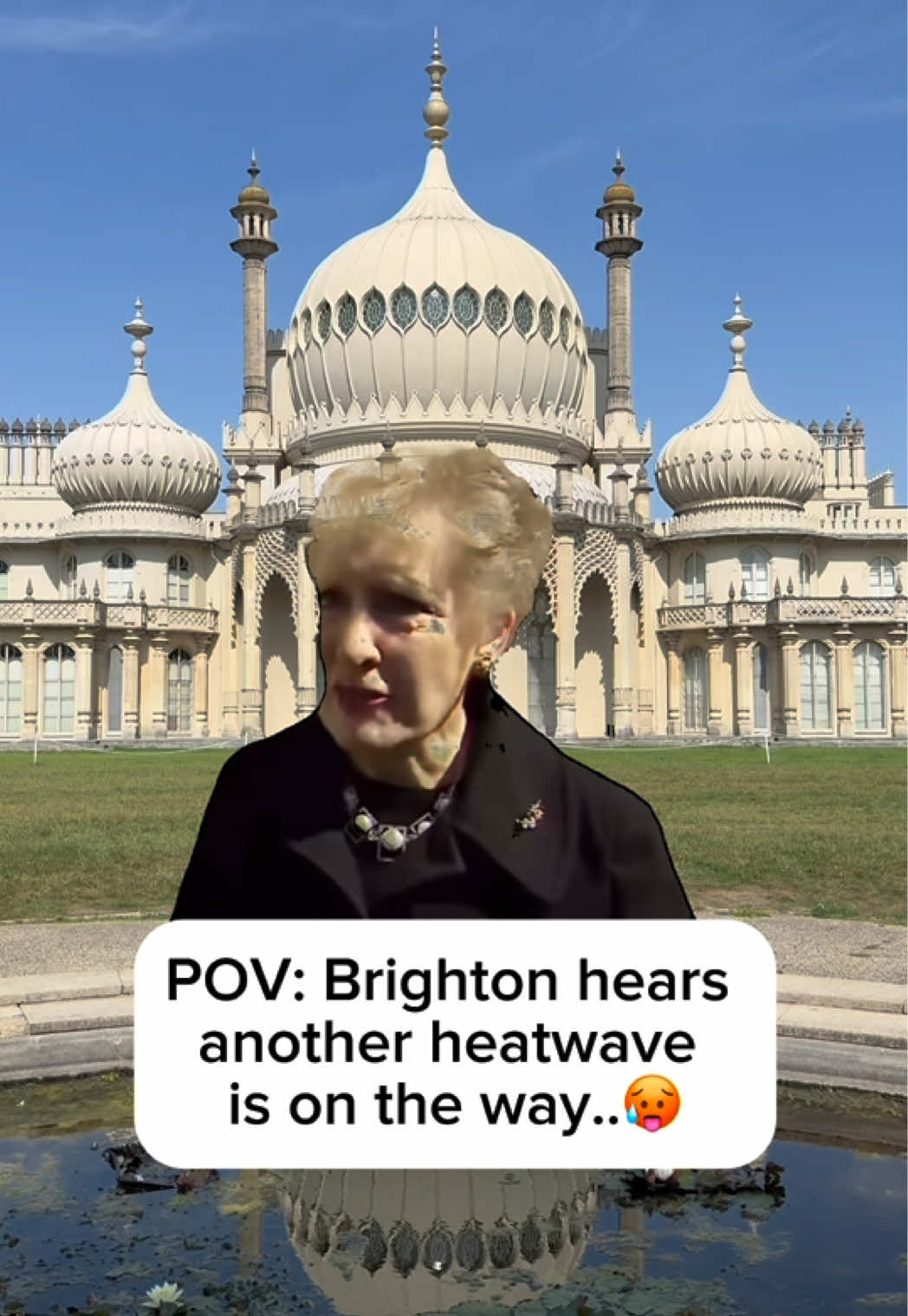 @Brighton & Hove Museums
